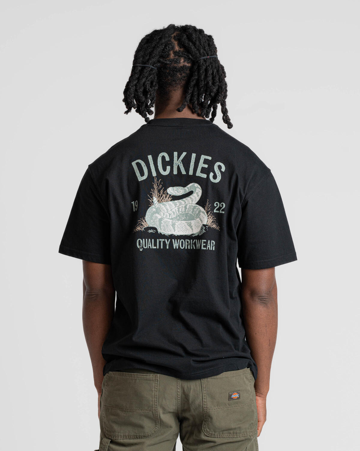 Dickies SNAKE SS TEE | DK0A4Z99BLK1 | AFEW STORE